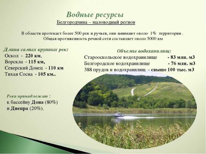 Рыбалка в кузькино белгородская область - уловистые пруды
