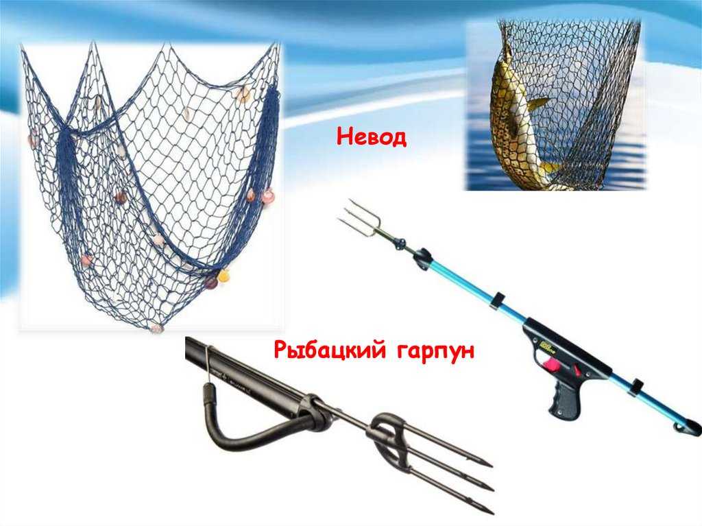 Таблица штрафов рыбнадзора: за рыболовные сети, ловлю раков и пр.
