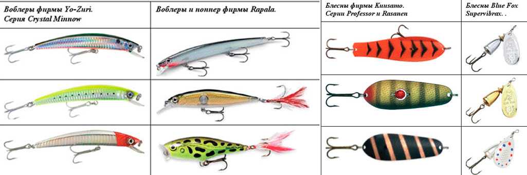 Рыбалка на тайменя: способы ловли, выбор снастей и приманок