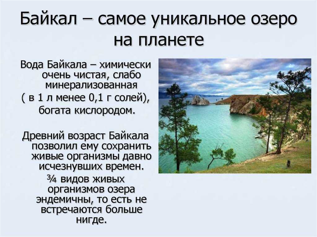Тема озера 8 класс. Озеро Байкал текст. Описать озеро Байкал. Описание озера Байкал. Озеро Байкал доклад для детей.