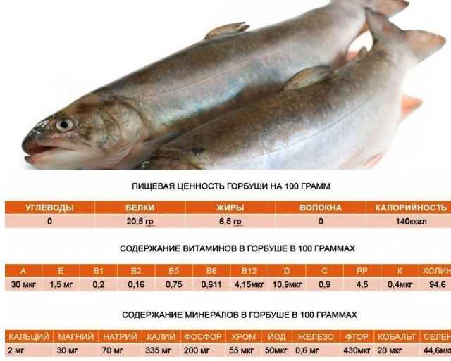 Горбуша – польза и вред, лучшие способы приготовления рыбы