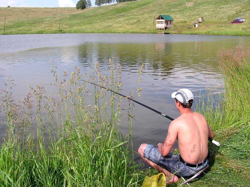 Можно ловить на пруду. Рыбалка летом. Ловля рыбы. Рыбалка летом на поплавочную. Удочка для рыбалки.