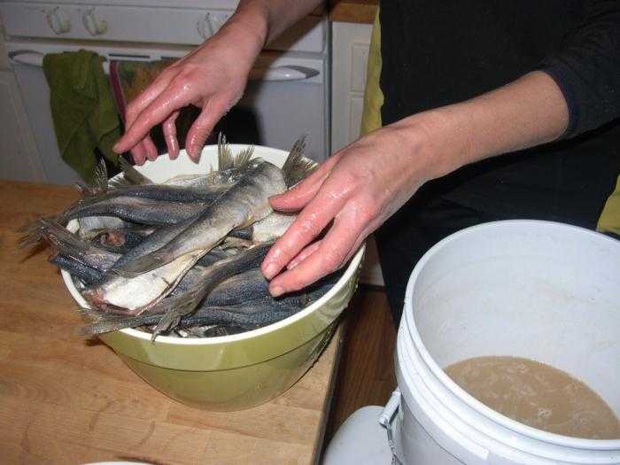 Как вымачивать рыбу. как вымачивать рыбу после засолки