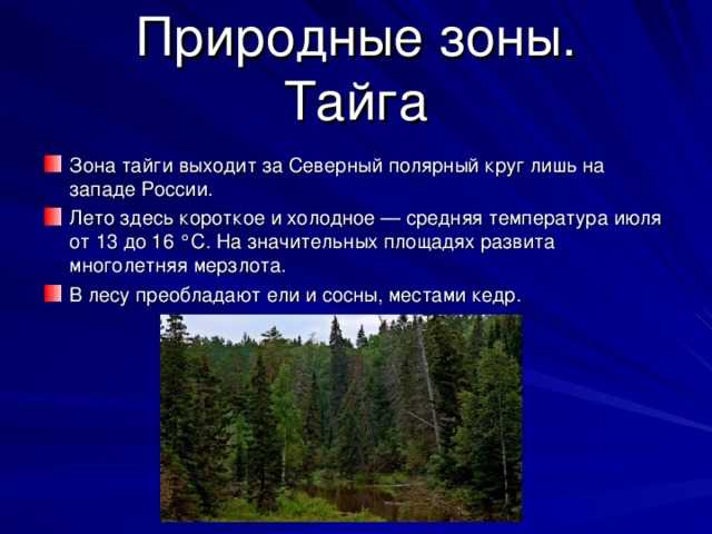 Тайга характеристика