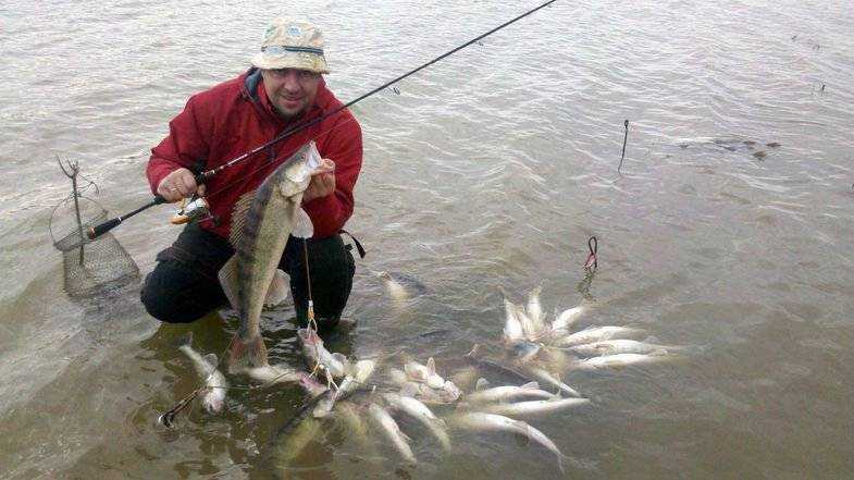 Можно ли ловить на дону. Рыбалка на реке Дон в Ростовской области. Река Дон рыбалка. Ловля рыбы на Дону. Улов на Дону.