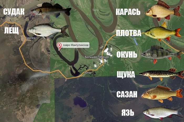 Карта рыболовных мест тюменской области