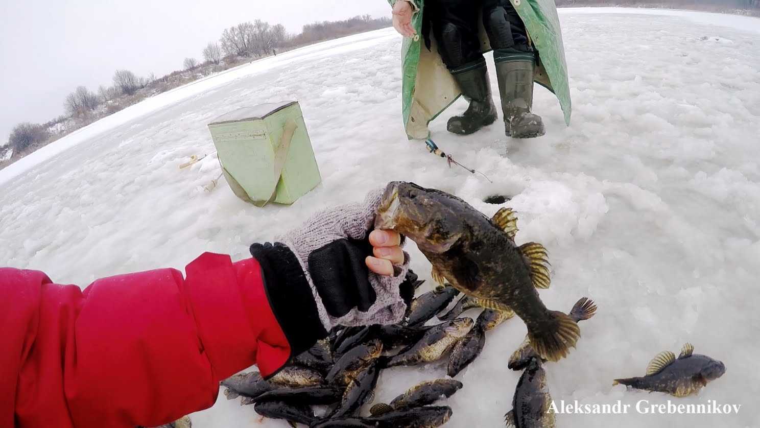 Видео ловли рыбы зимой. Зимняя рыбалка ротан. Рыбалка на ротана. Ловля крупного ротана льду. Ловля ротана на спиннинг.