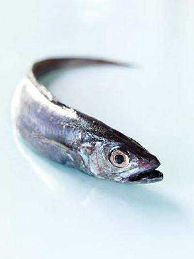 Рыба хоки (макруронус) – вкусные рецепты приготовления