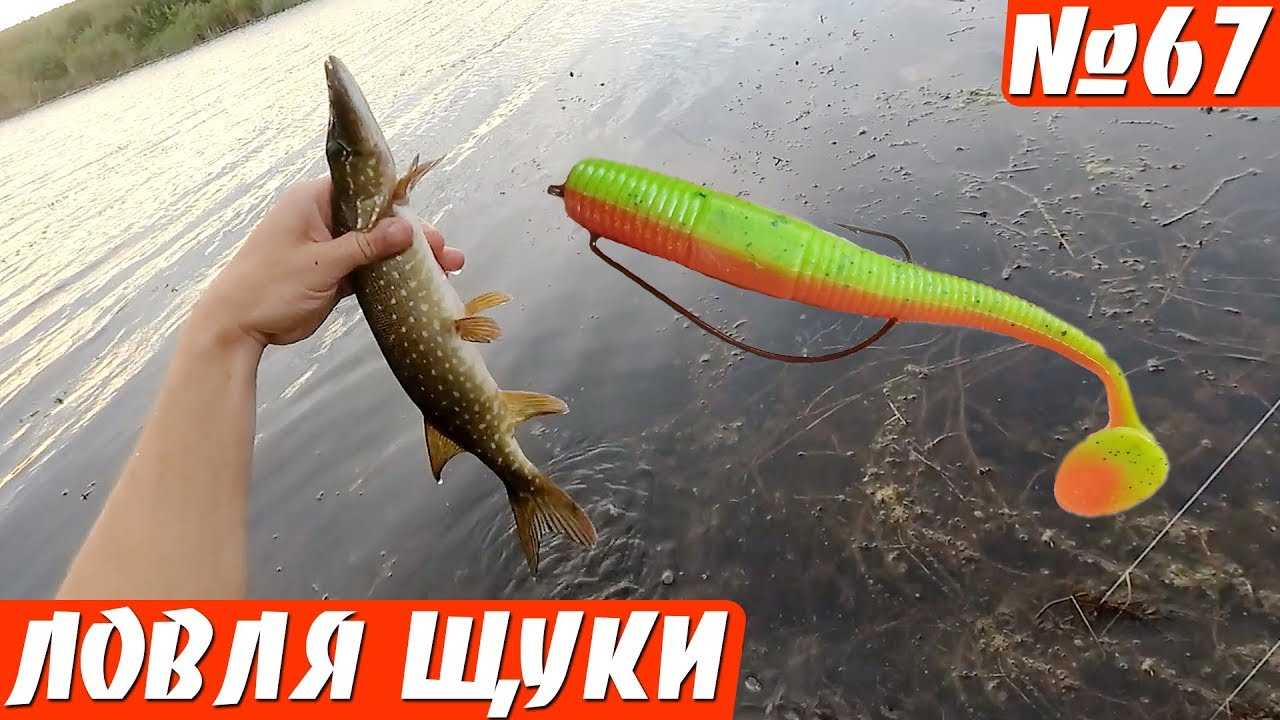 Техника ловли на неогруженный силикон