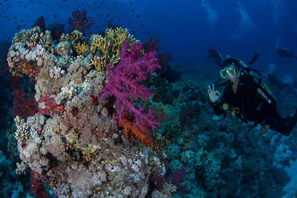 Какого океана является красное море. Шарм-Эль-Шейх море. Красное море Шарм-Эль-Шейх. Подводный мир Египта Шарм-Эль-Шейх. Красное море Шарм-Эль-Шейх соленое.