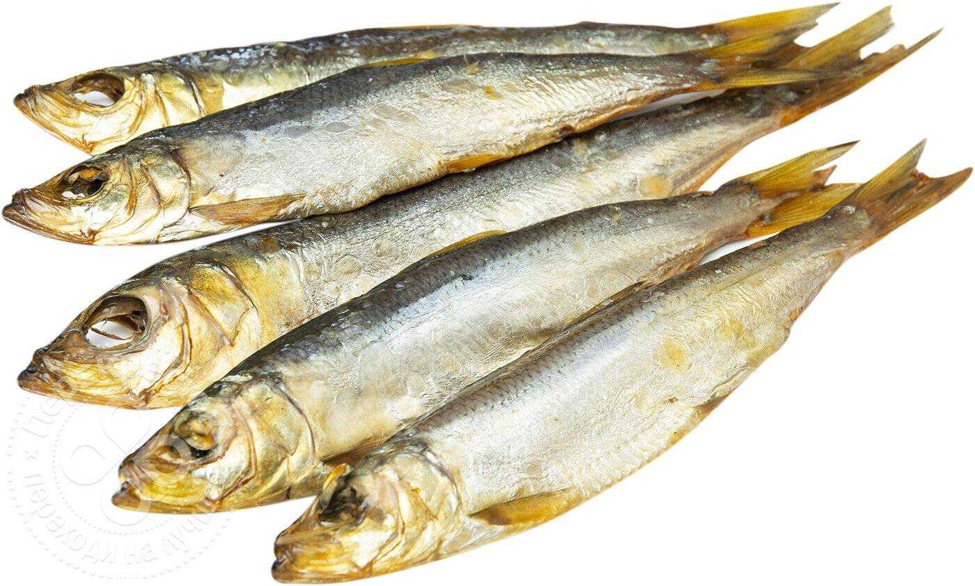 Рыба салака — 13 самых простых и очень вкусных рецептов приготовления