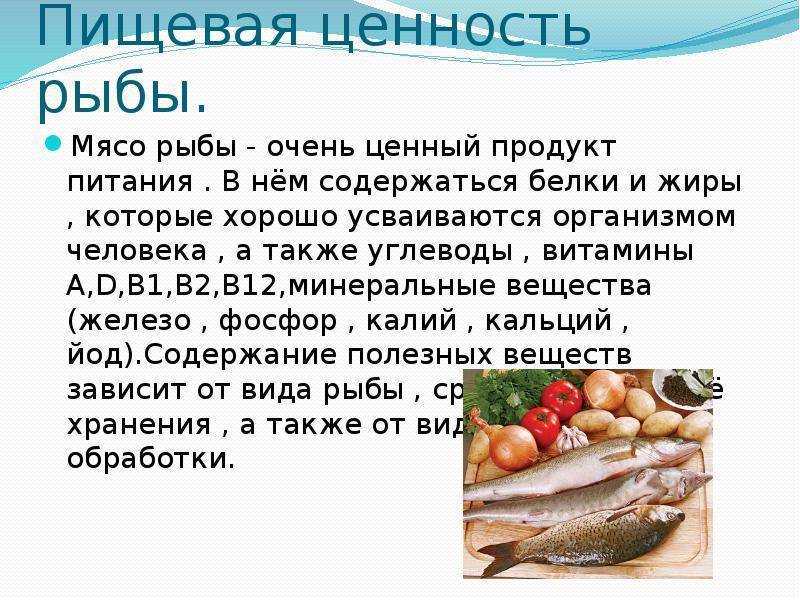 Рыба хоки – польза и состав продукта. нанесёт ли рыба хоки вред здоровью, правила приготовления и употребления хоки - автор екатерина данилова - журнал женское мнение