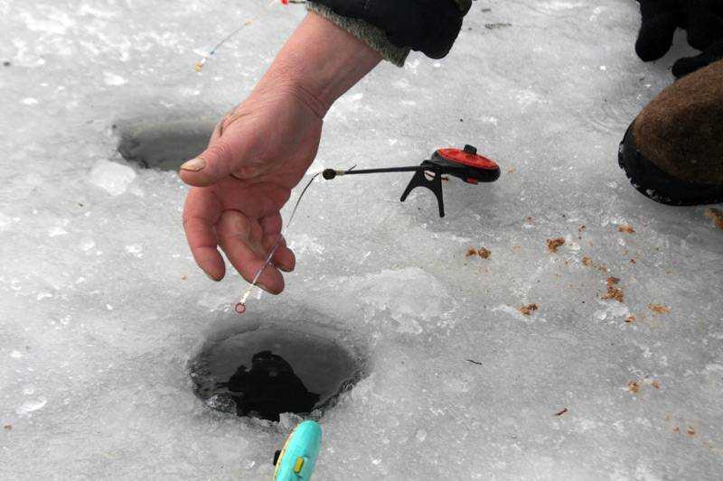 Рыба окунь. летняя и зимняя рыбалка на окуня: снасти, способы ловли :: syl.ru