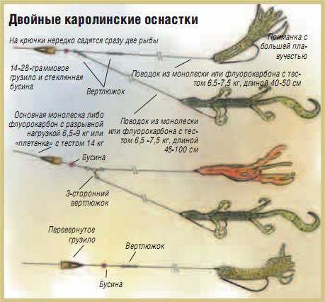 Когда клюет щука: где, в какую погоду и в какое время года лучше всего?