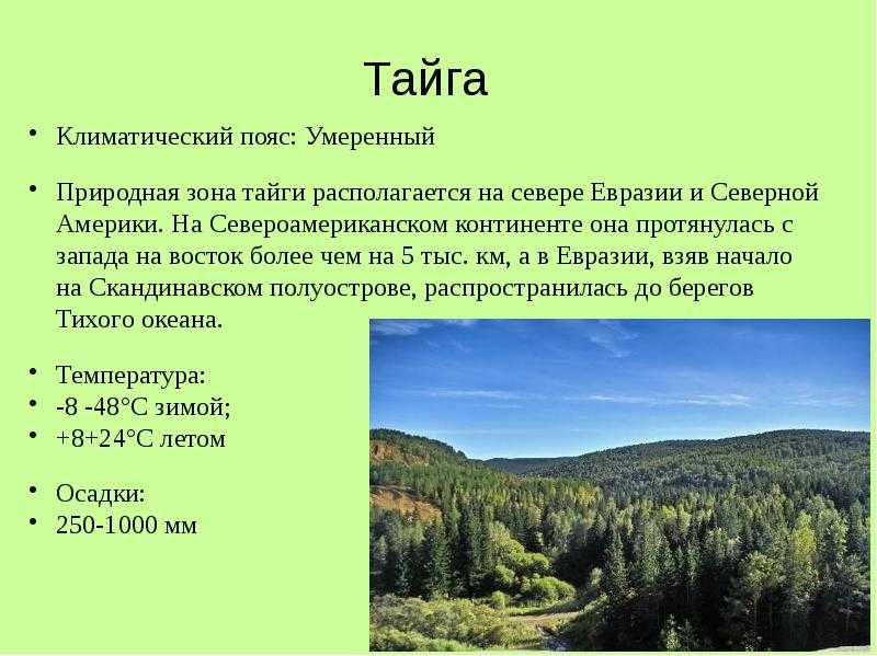 Характеристика тайги по плану