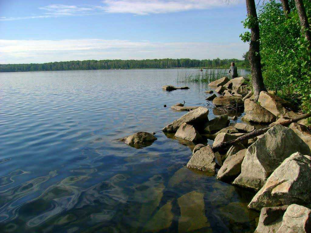 Где находится челябинские озера. Озеро Акакуль Челябинская область. Озеро Аракуль Челябинская. Озеро Аракуль берег.