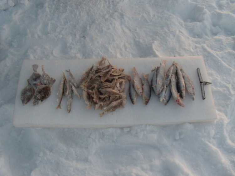 Рыбачим зимой. ловим сига