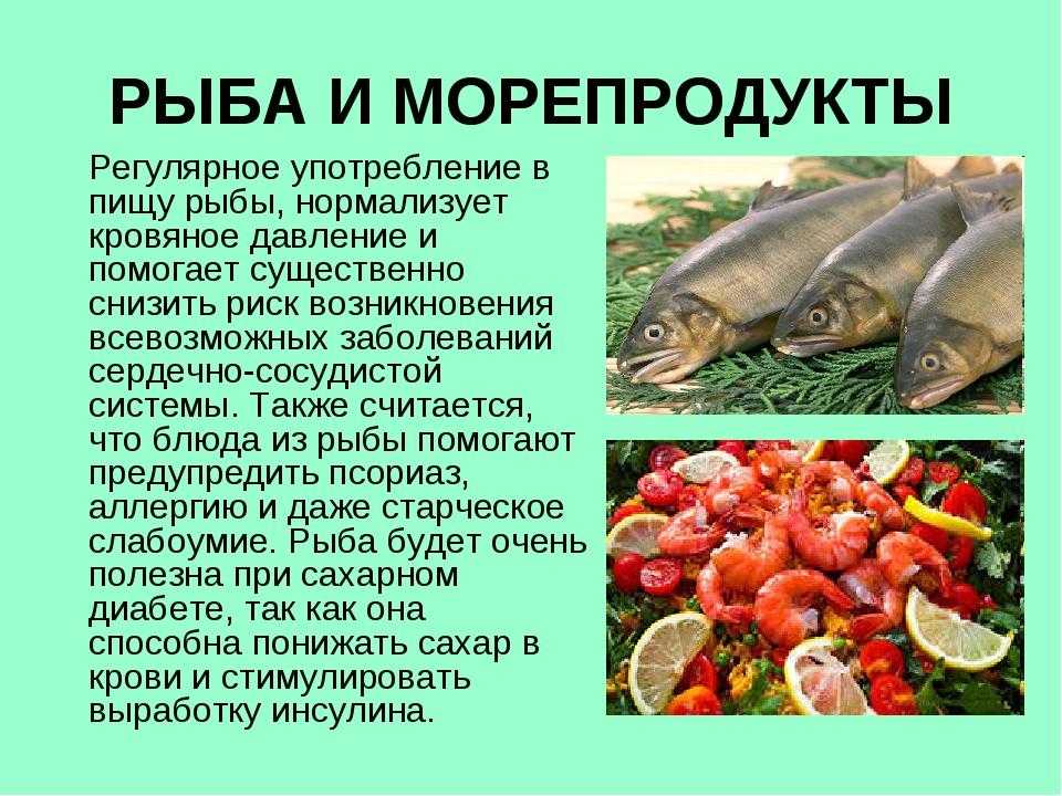 В чем польза рыбы и морепродуктов в питании человека, рецепты