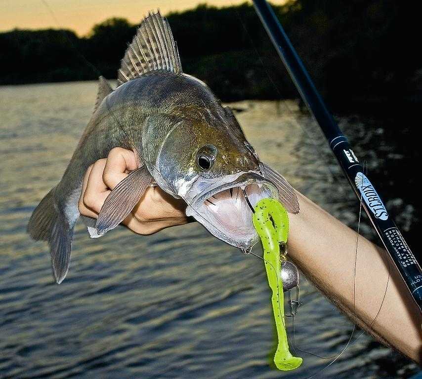 Лучшая рыбалка на щуку