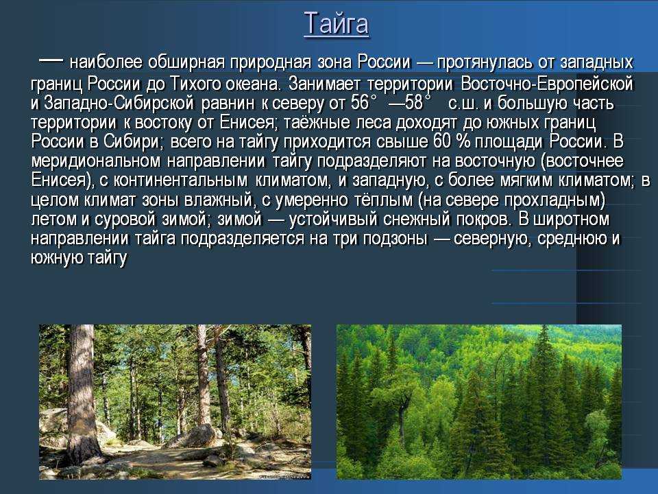 Снаряжение для похода: список вещей, которые нужно взять с собой