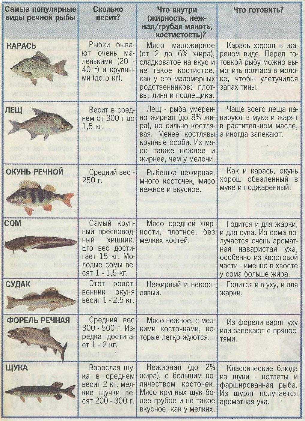 Самая полезная рыба: речная или морская. существует ли рыба, польза которой максимальна, или вся рыба одинаково полезна?