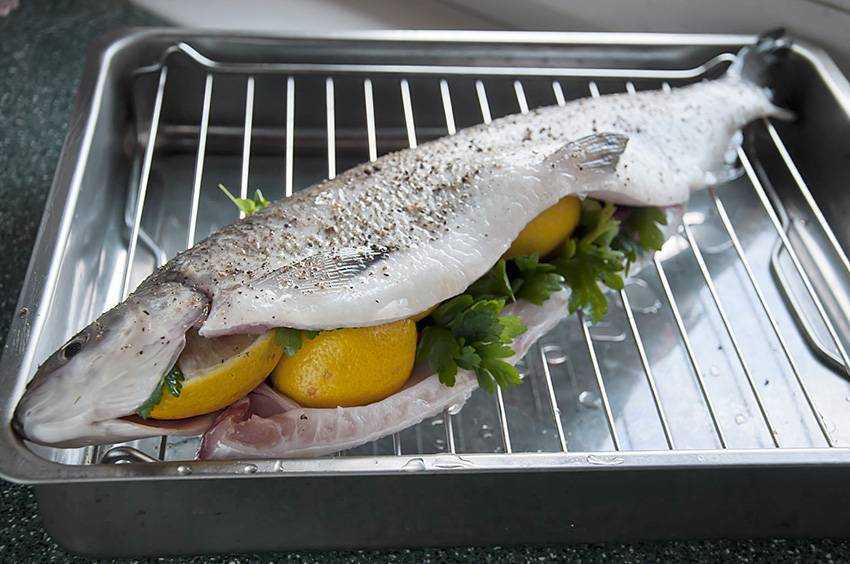 Что за рыба кижуч. как вкусно приготовить кижуч в домашних условиях. пошаговые рецепты приготовления рыбы кижуч на сковороде, в духовке и мультиварке. как засолить кижуч