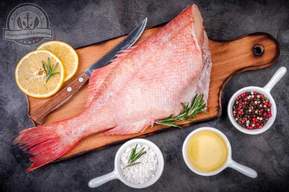 Морской окунь: польза и вред для организма, калорийность рыбы на 100 грамм