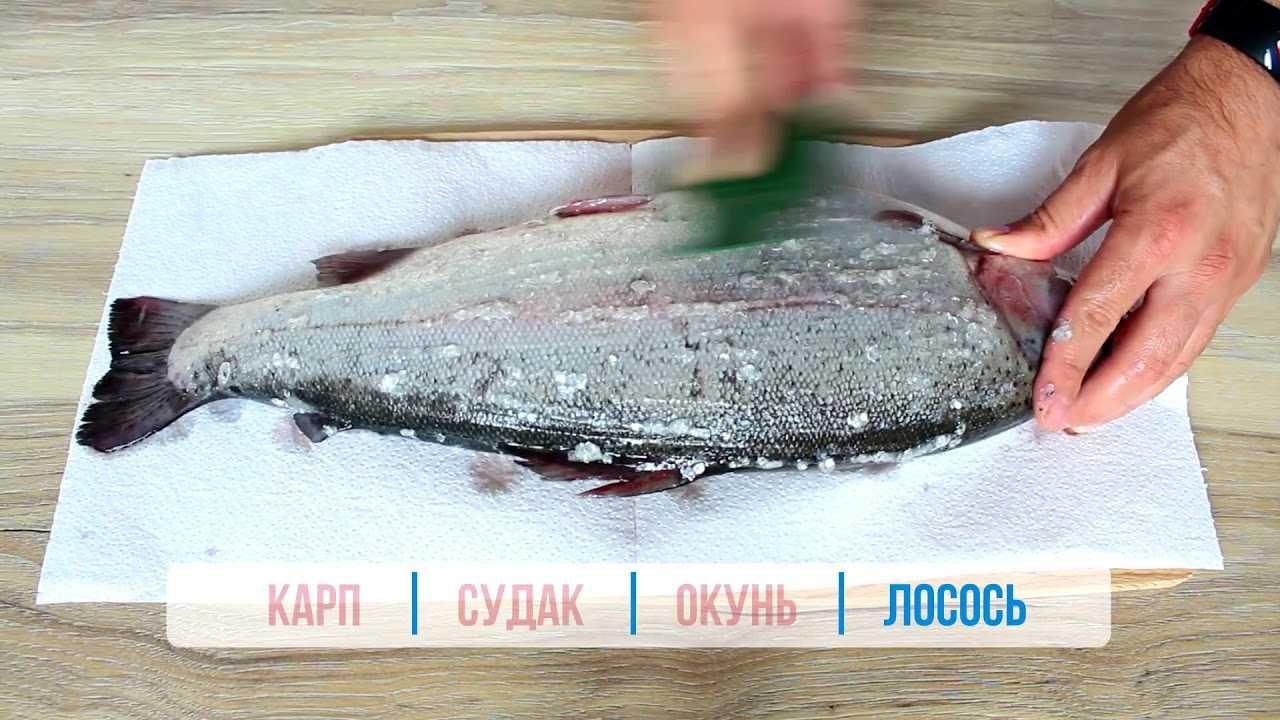 Как разрезать замороженную рыбу