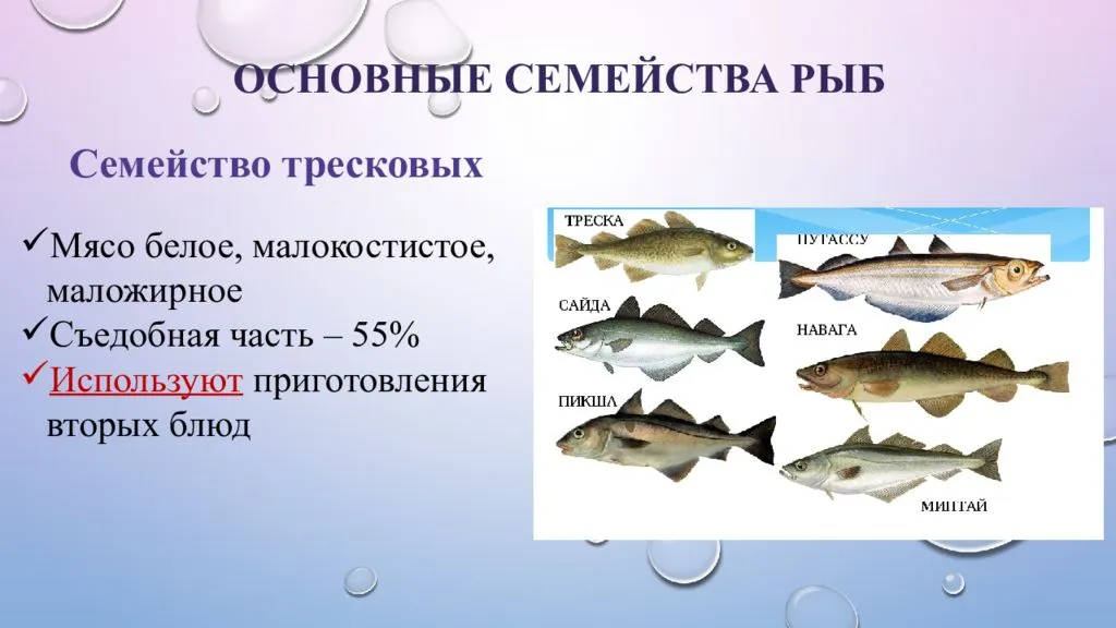 Название групп рыб. Семейства рыб. Презентация семейства рыб. Классификация семейства рыб. Классификация рыбы по семействам.