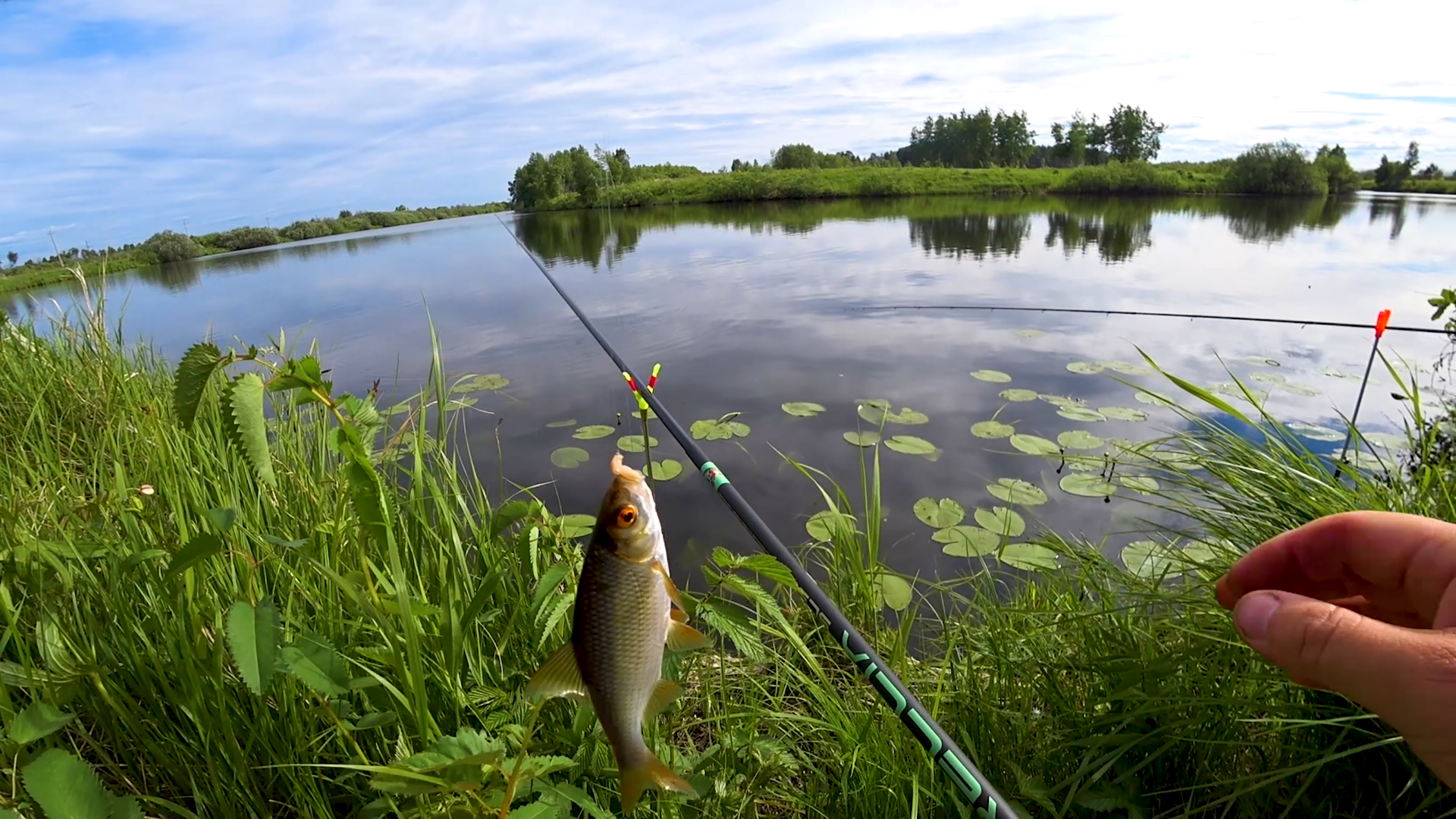 Рыбалка с берега карася. Поплавок на окуня. Рыбалка на озере. Поплавочная рыбалка. Поплавок для рыбалки на озере.