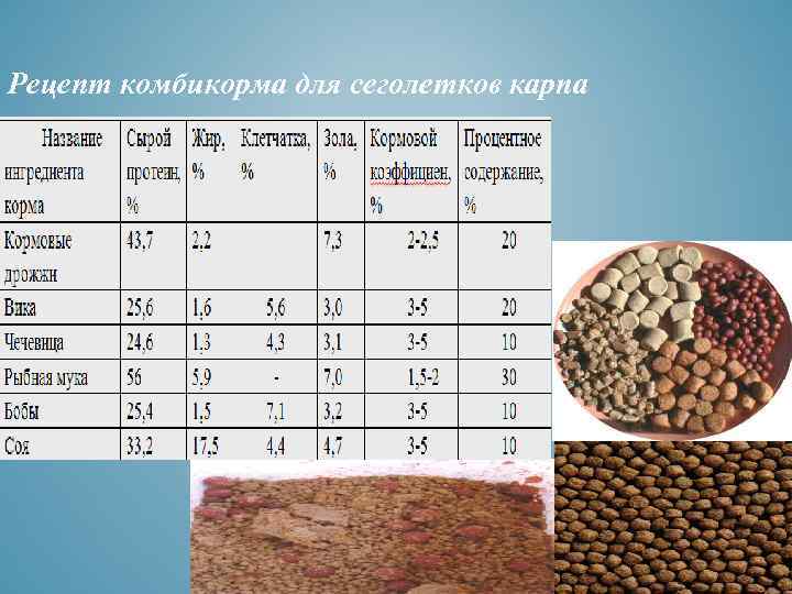 Что приготовить из комбикорма для рыбы