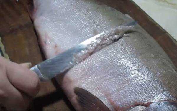Как правильно резать семгу на стол. оригинальная рыбная нарезка. оформление рыбной нарезки
