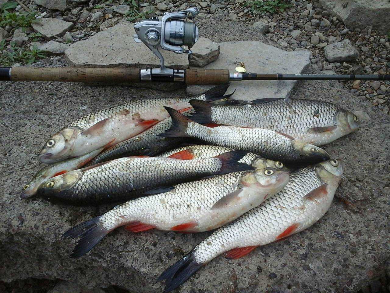 Рыбалка в ивановской области