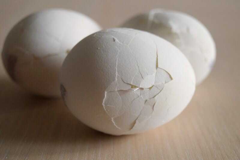Яйцо трещина. Яйцо треснуло. Треснутые яйца. Яйцо с треснутой скорлупой. Потресканное яйцо.
