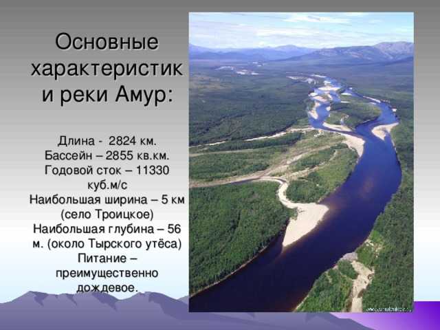 Характеристика амура по плану 8 класс