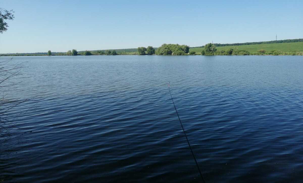 Рыбалка как хобби и вид отдыха — offroadrest.ru
