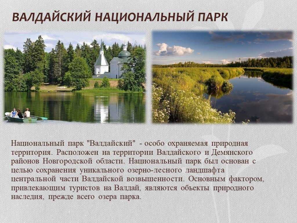 Информация новгородская область