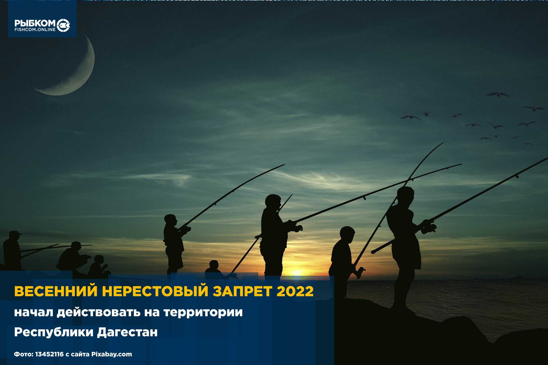 Нерестовый запрет. Рыболовные запреты ЛЕНОБЛАСТЬ. Нерестовый запрет 2022 Ленинградская область. Запрет на рыбалку в крыму 2024 году
