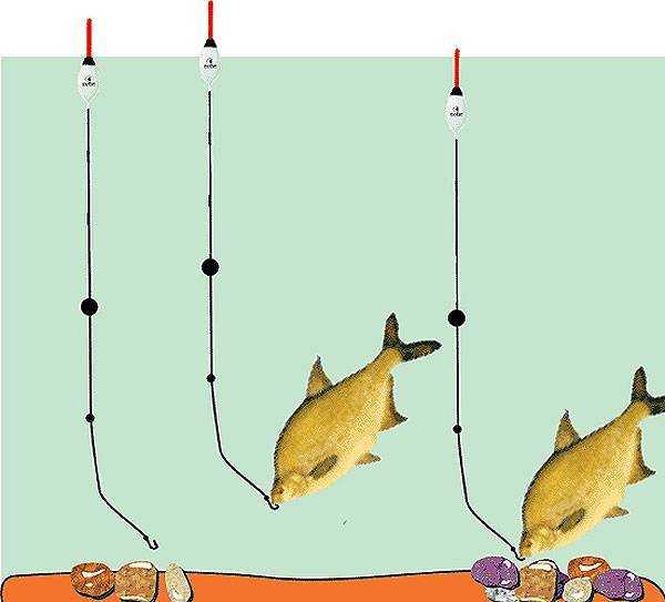 Ловля язя — особенности рыбалки