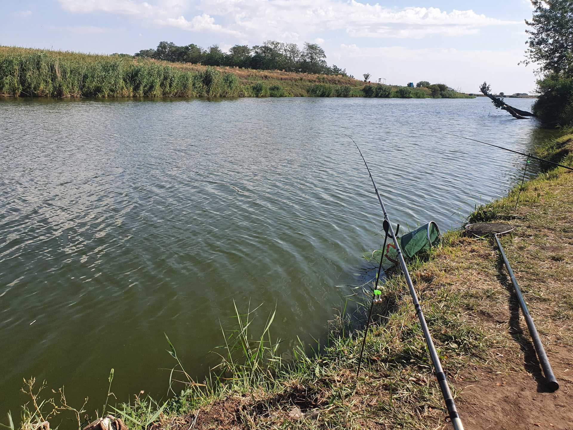 Рыбалка на карася на озере. Пруд Сторожевое Курская область рыбалка. Рыбалка на пруду. Красивые места для рыбалки. Рыба в озере.