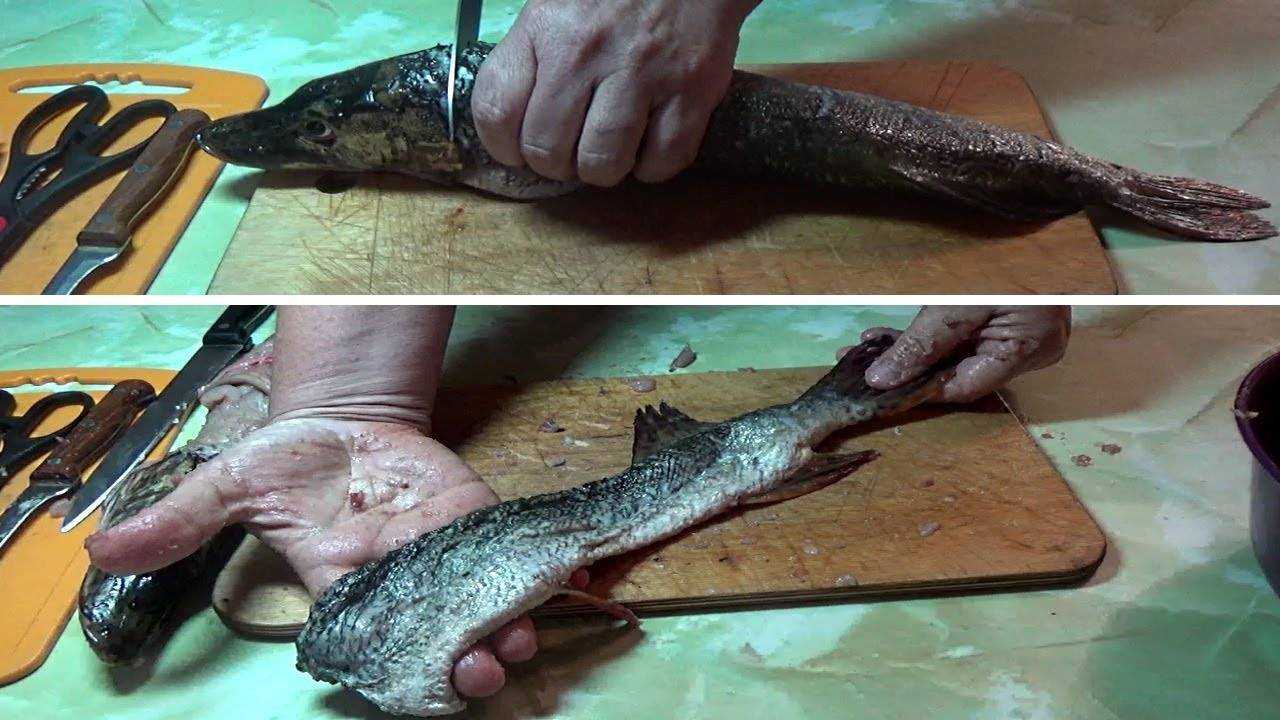 4 варианта, как быстро почистить рыбу, чтобы чешуя не летела во все стороны