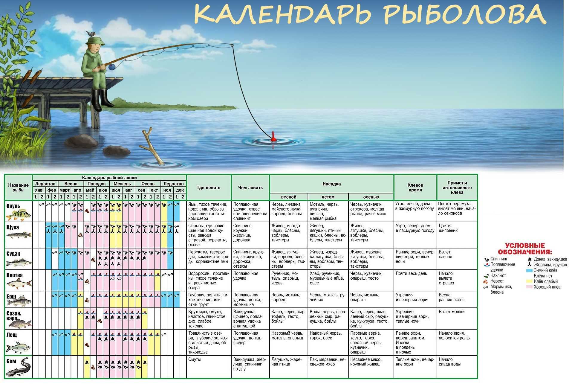 Прогноз рыбалки на сегодня. Рыбацкий календарь на 2022 год Краснодарский край. Рыболовный календарь Чувашия 2022г. Календарь рыбаков. Рыболовный календарь клёва.