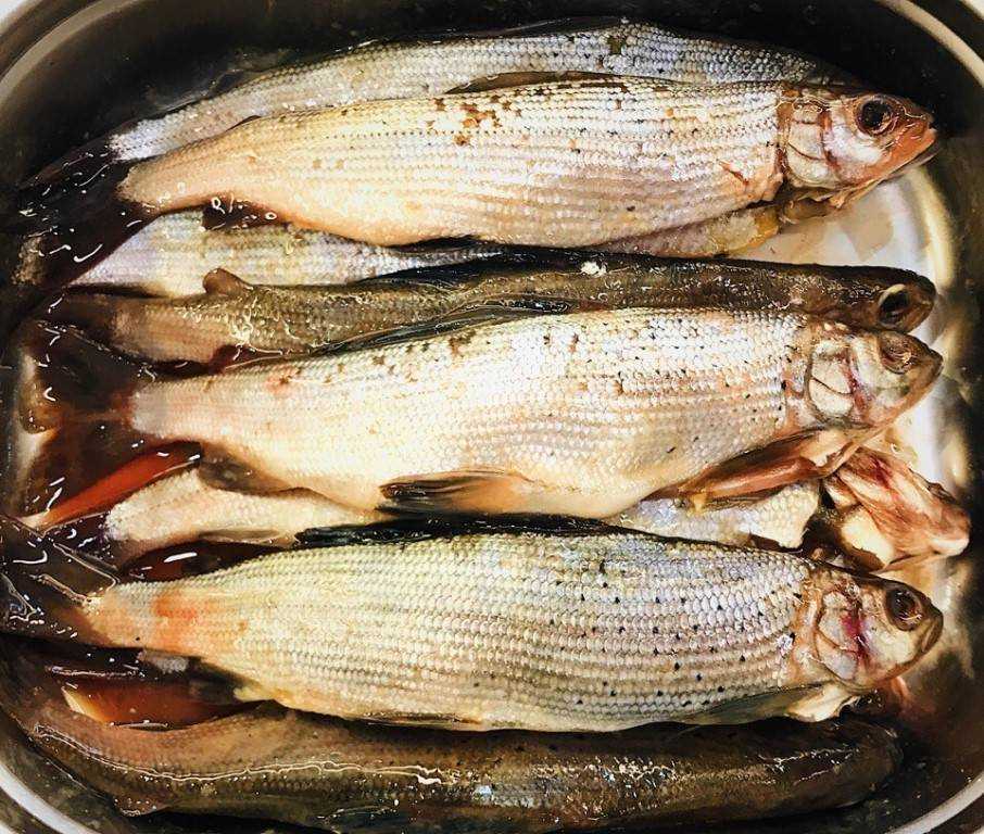 Ловля хариуса в малых реках