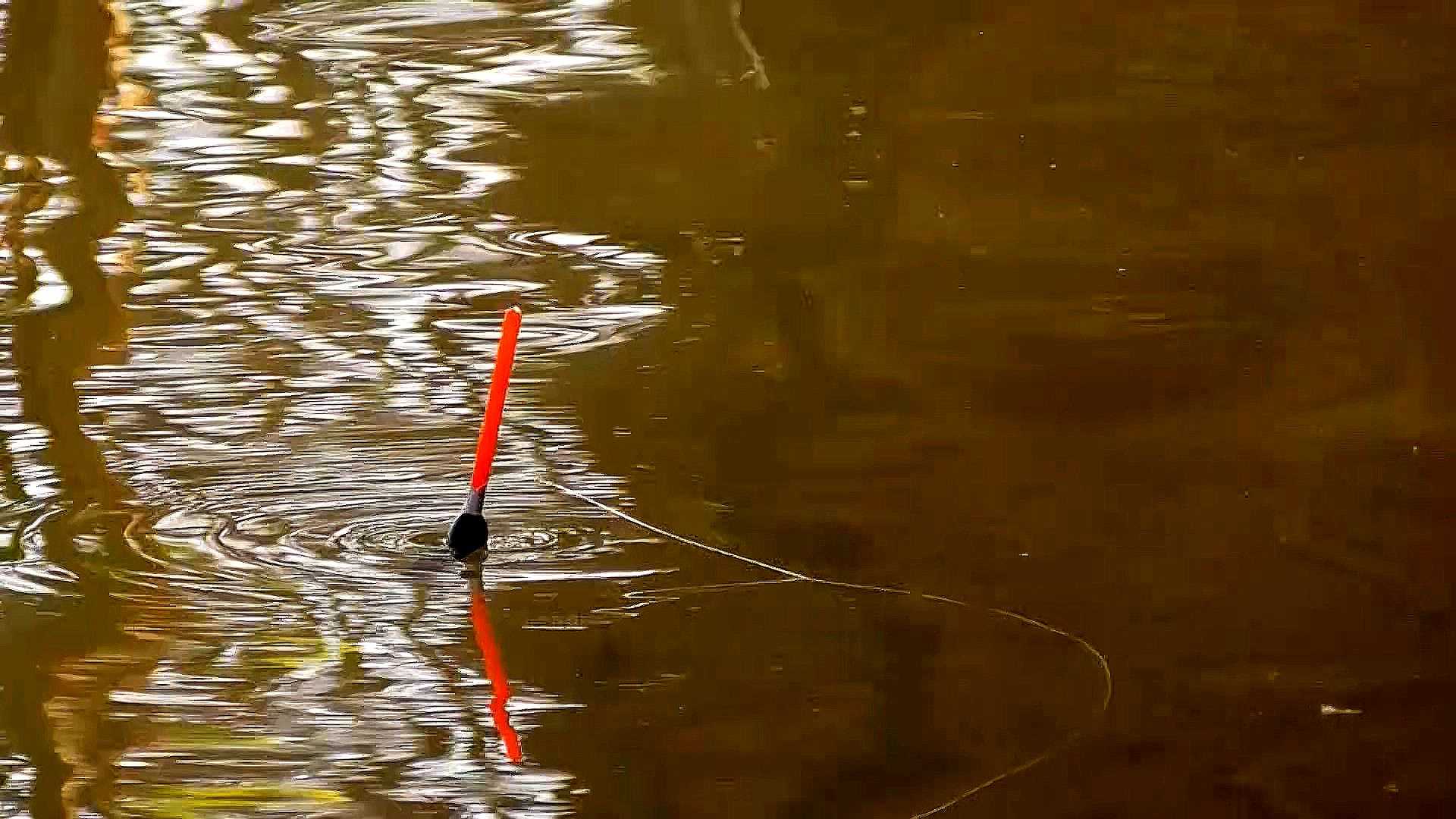Ловля весной поплавочной удочкой видео