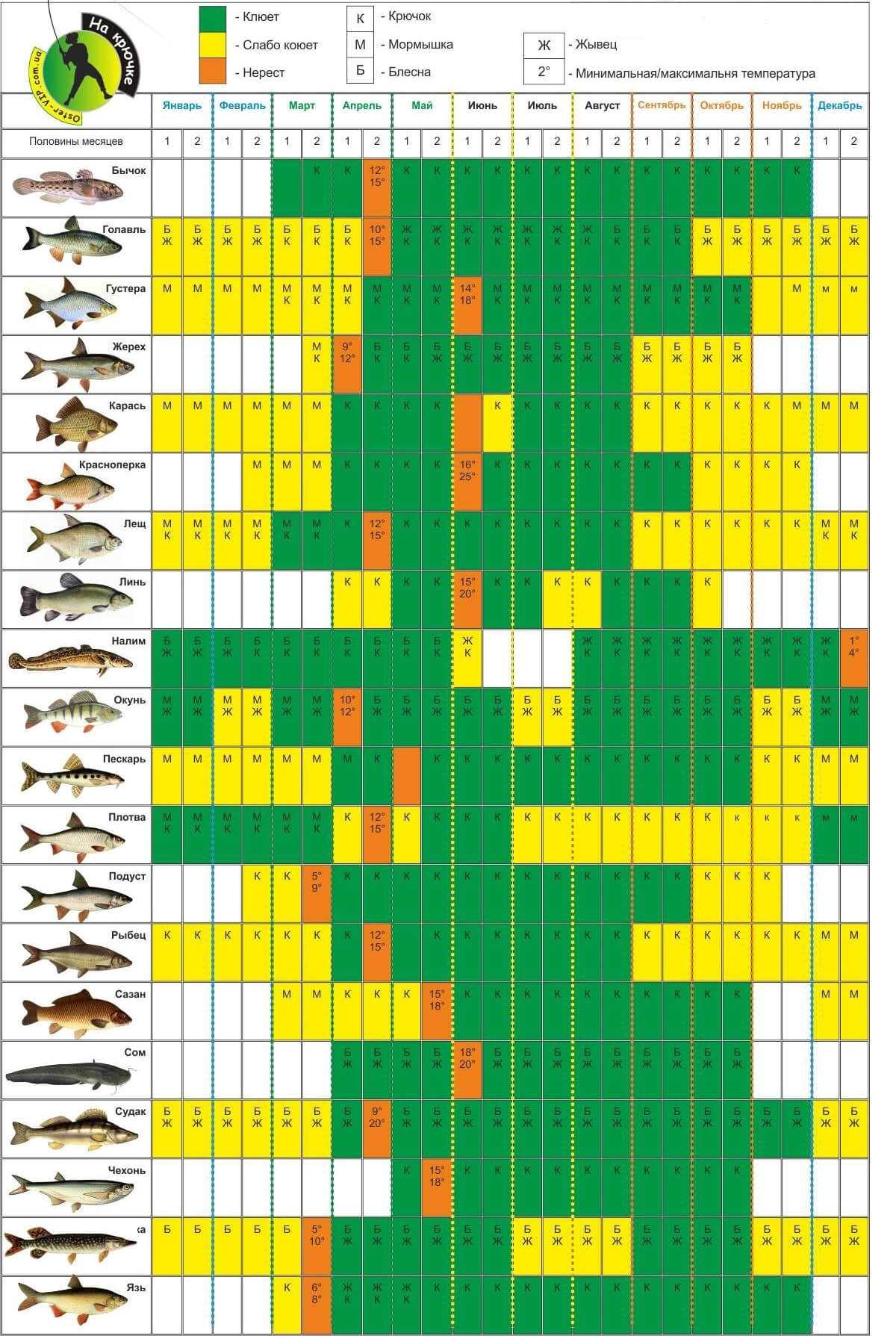 Ловля язя — особенности рыбалки - fishingwiki
