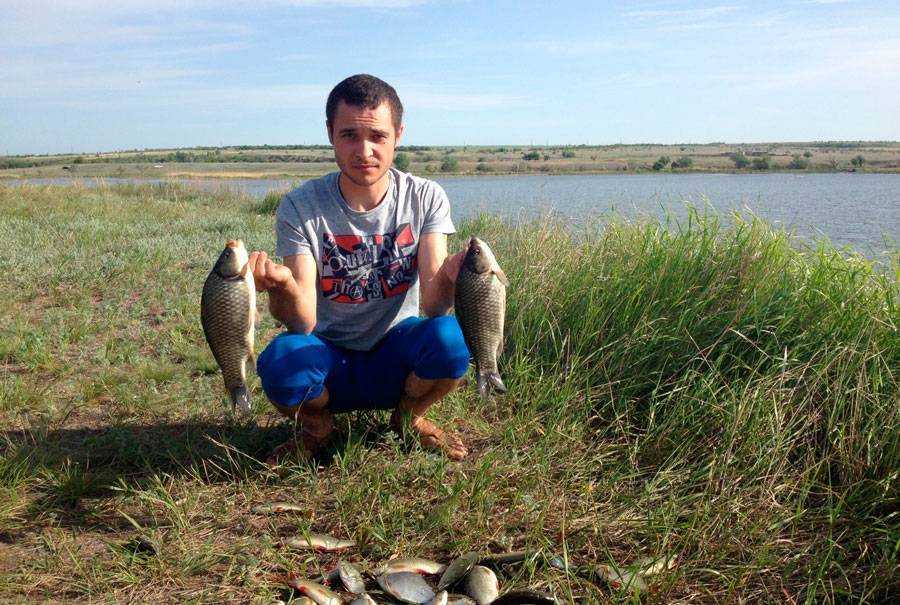 Пруды в саратовской области для платной рыбалки