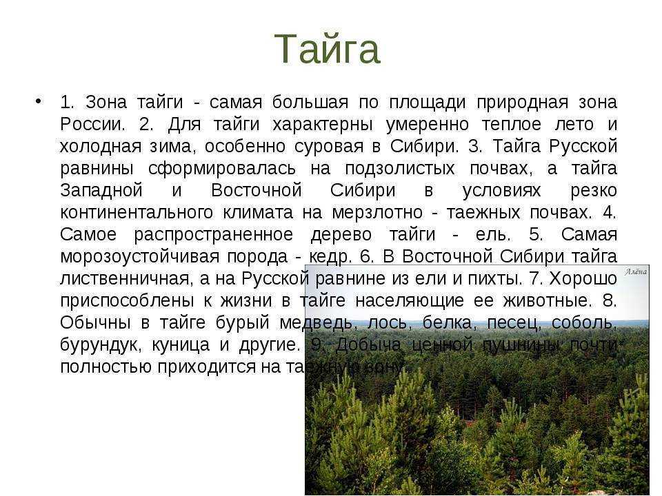 Характеристика природной зоны по плану 8 класс тайга