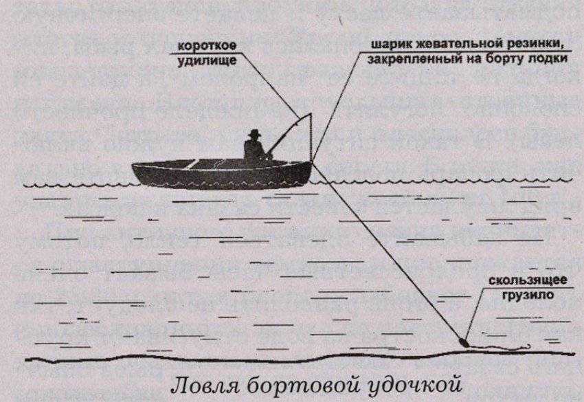 ᐉ тактика прикармливания и ловли сазана на течении - ✅ ribalka-snasti.ru