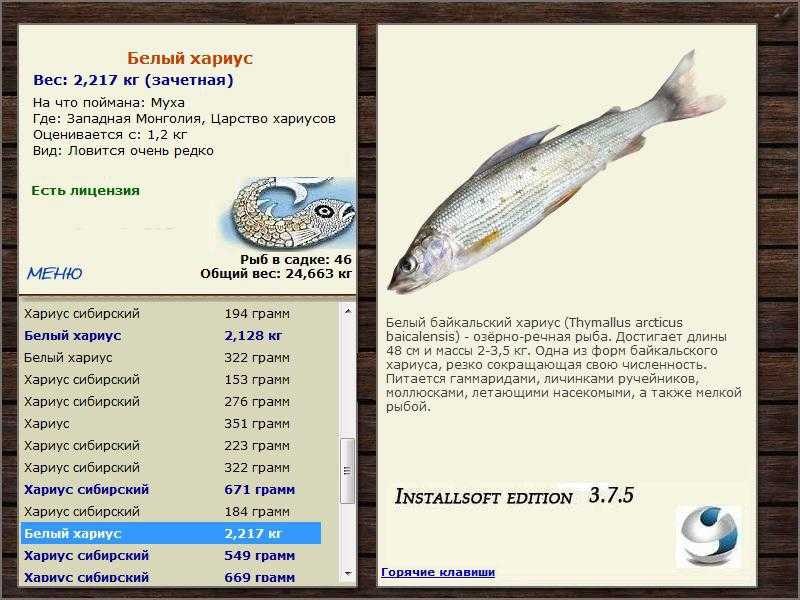 Хариус в карелии где ловить карта