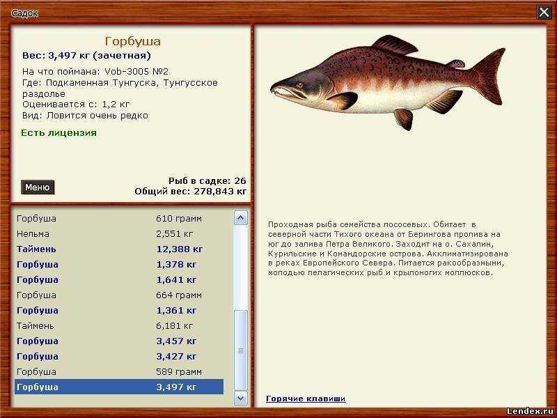 Где какая рыба. Русская рыбалка 3 7 6 Подкаменная Тунгуска. Русская рыбалка 3 7 4 Подкаменная Тунгуска. Горбуша где водится. Горбуша Размеры.